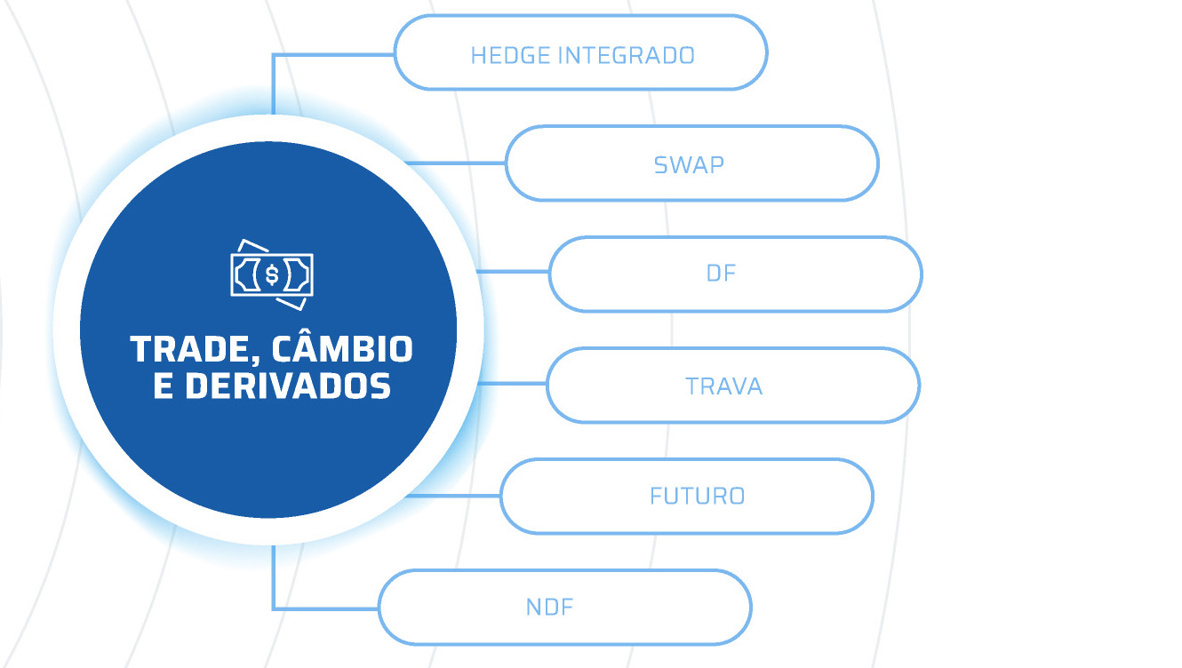 Informações bloco 6